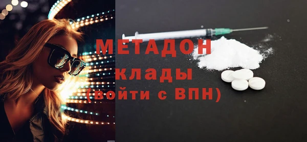 прущие грибы Арсеньев
