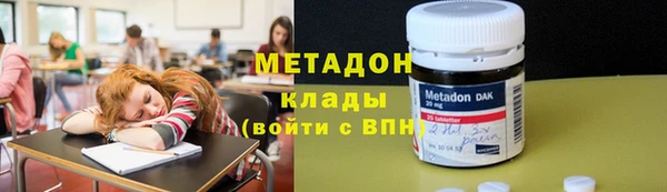 прущие грибы Арсеньев