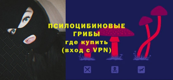 прущие грибы Арсеньев