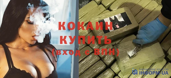 прущие грибы Арсеньев