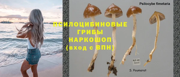 прущая мука Аркадак