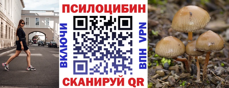 хочу наркоту  Колпашево  Галлюциногенные грибы Psilocybine cubensis 